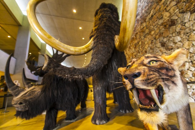 Musée de Préhistoire des gorges du Verdon