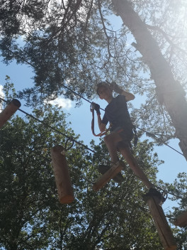 Parcours dans les arbres