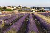 Valensole