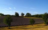 plateauvalensole2.jpg