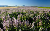 plateauvalensole4.jpg