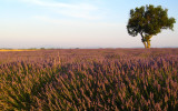 plateauvalensole9.jpg