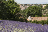 Valensole