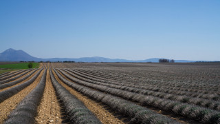 Visite libre du village de Valensole