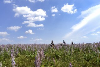 Circuit Provence Verdon VTT 37