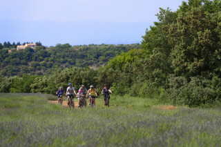 Circuit VTT 18 Provence Verdon