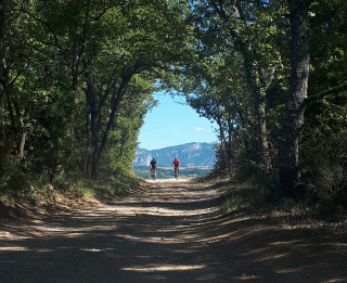 Gravel Bike - Valensole