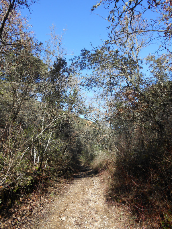 Chemin de la Rhôde