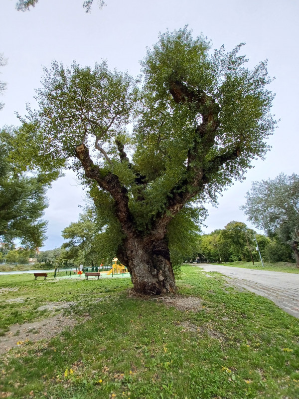 Bord du Verdon