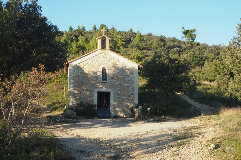 Sentier de découverte : les chemins de l'olivier_Corbières