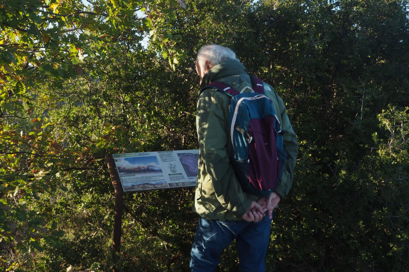 Sentier de découverte : les chemins de l'olivier_Corbières