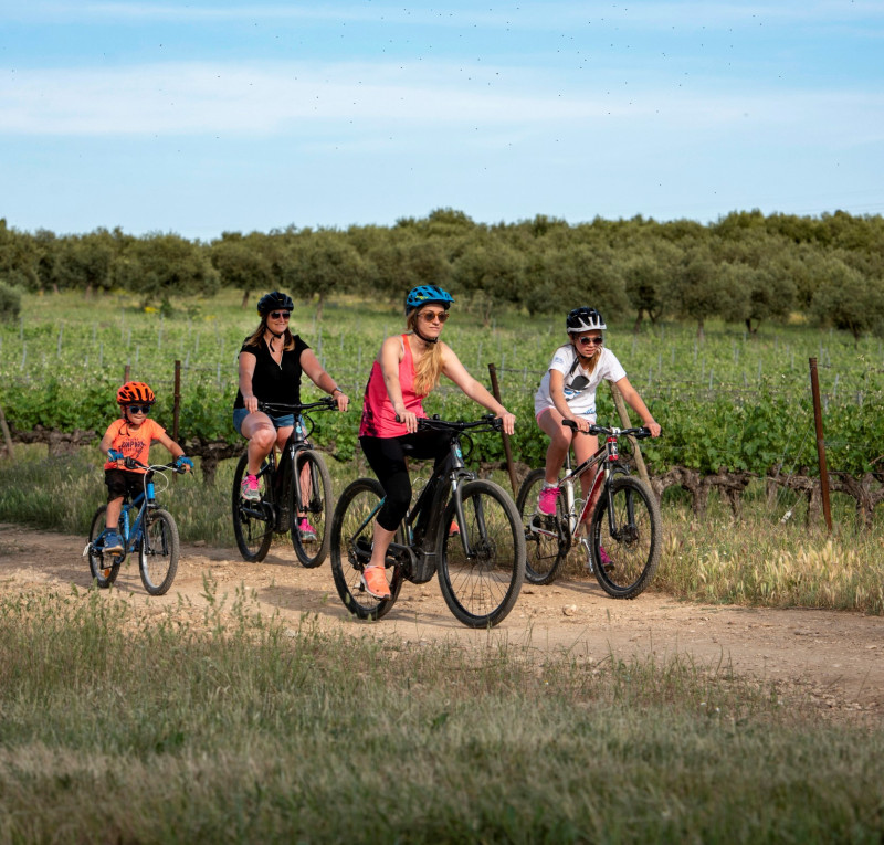 Circuit VTT 39 Provence Verdon