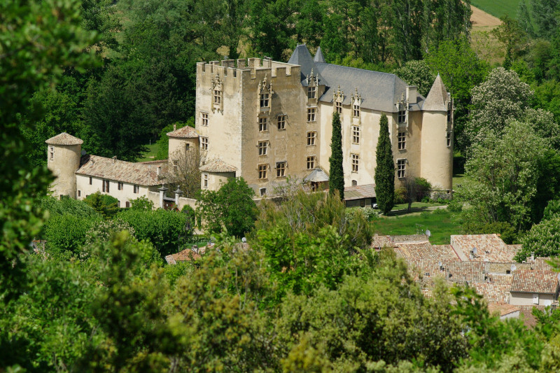 Circuit VTT Allemagne-en-Provence - Provence Verdon