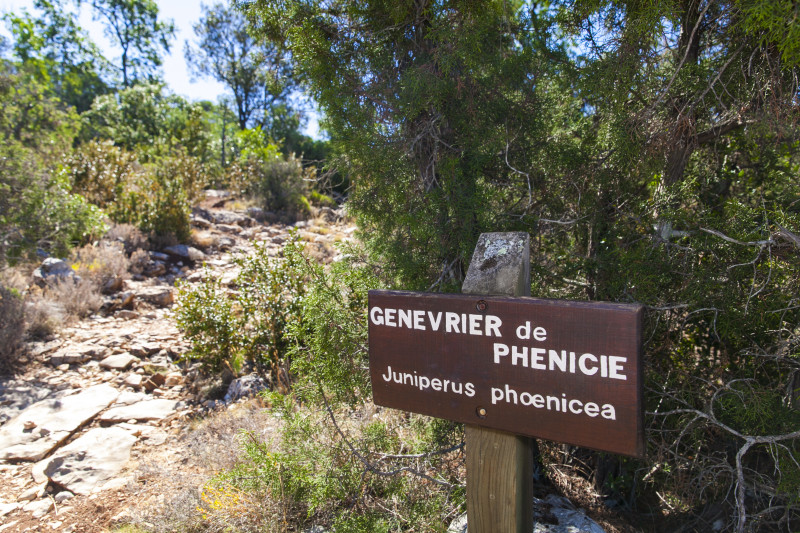 Sentier botanique