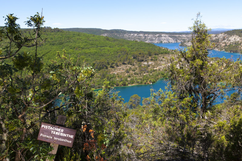 Sentier botanique