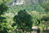 Environ 5 min à pied : garrigue