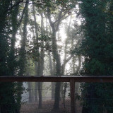 Une terrasse en belvédère sur un bois de chênes