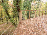 Une terrasse en belvédère sur un bois de chênes