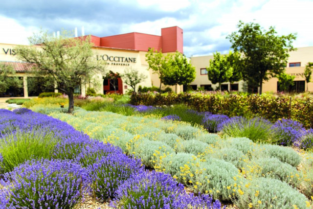 l'Occitane en Provence