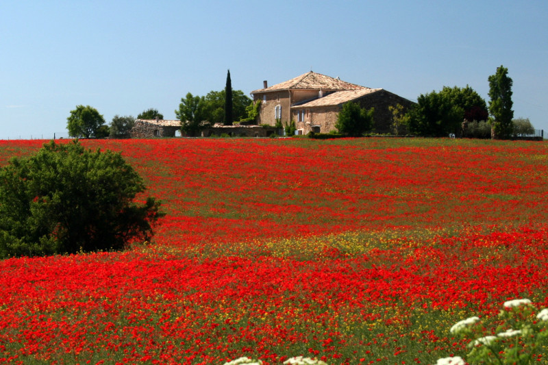 Le Clos de la Tuilerie